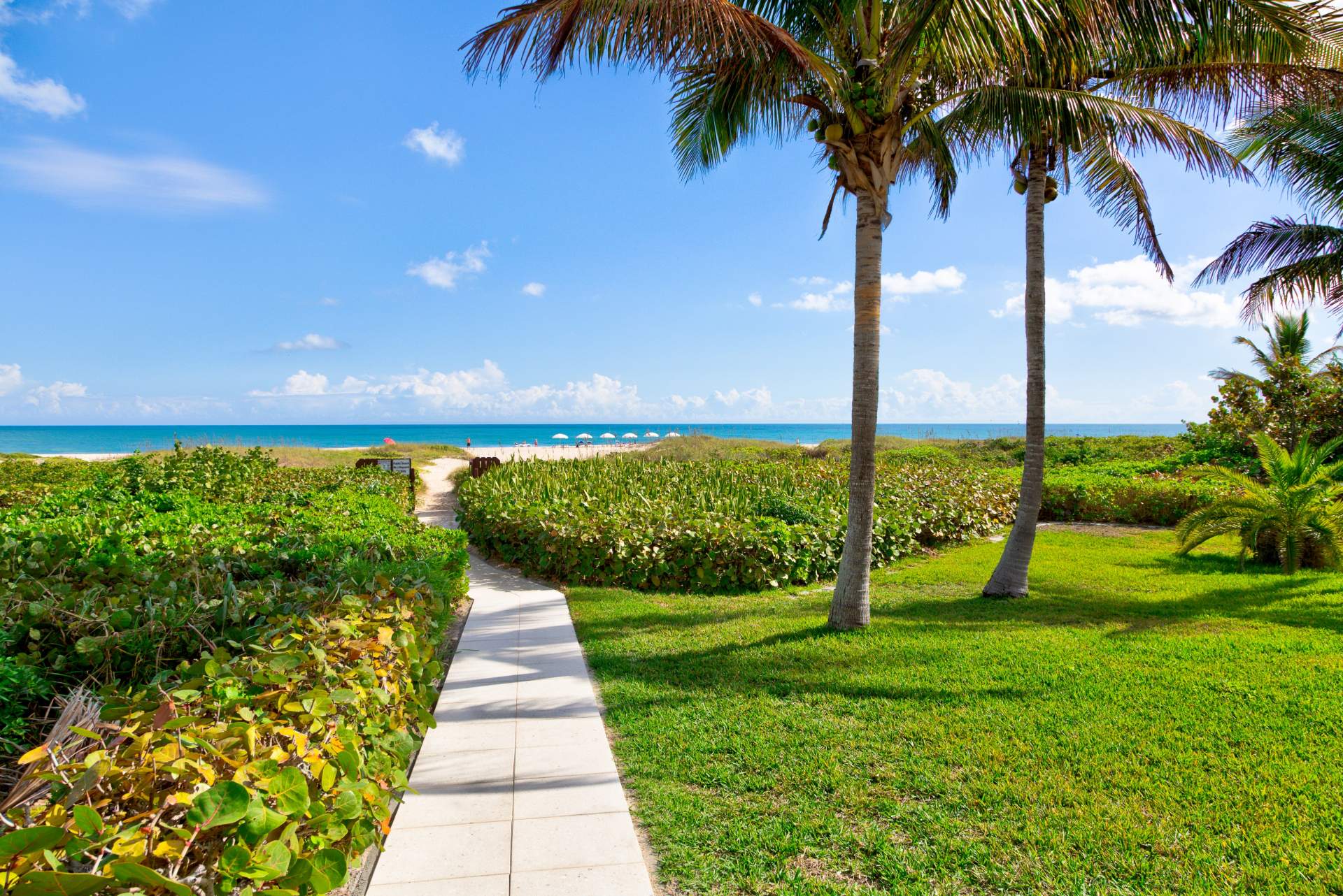 Walk toward beach