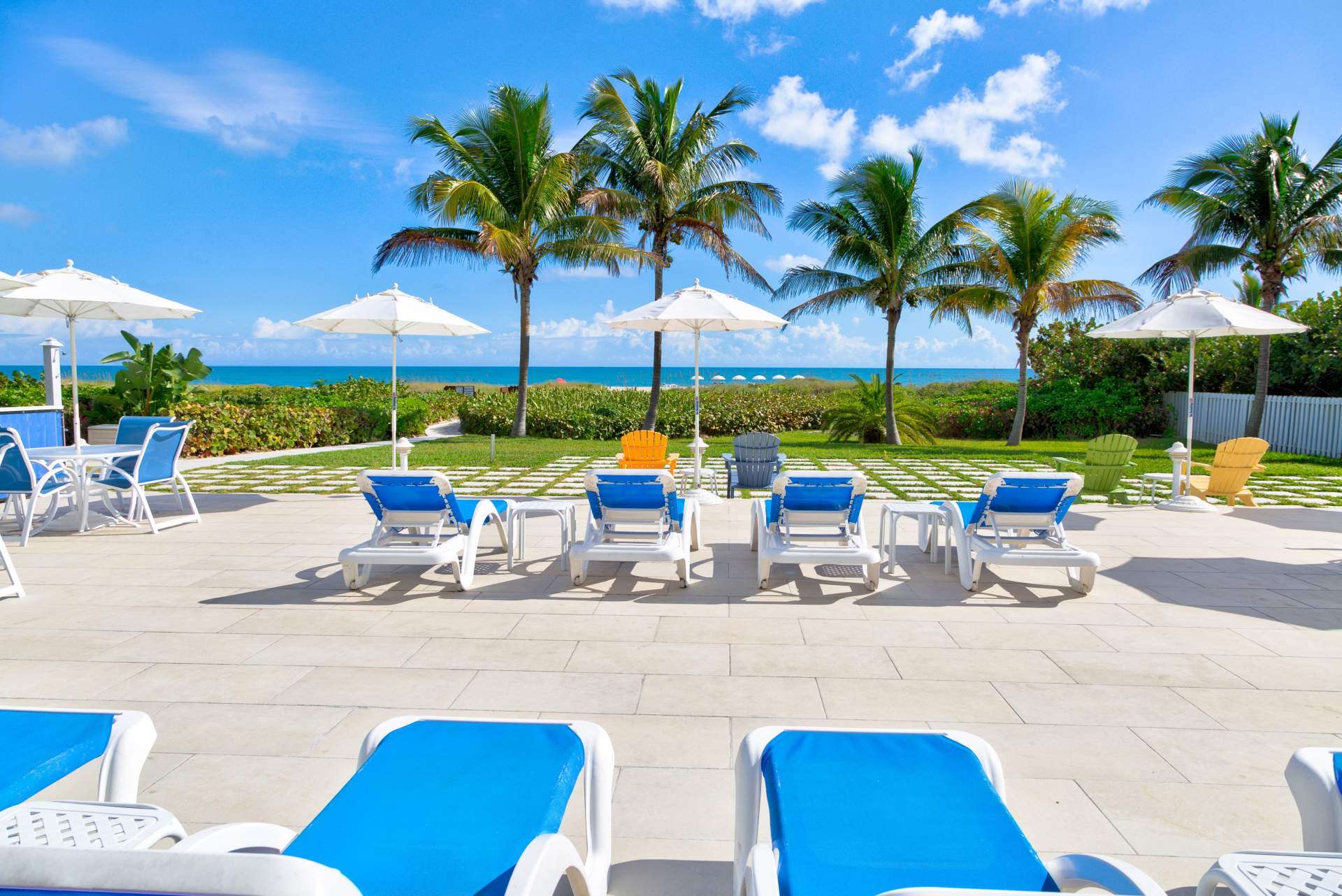 Reclining beach chairs with palm trees in the background