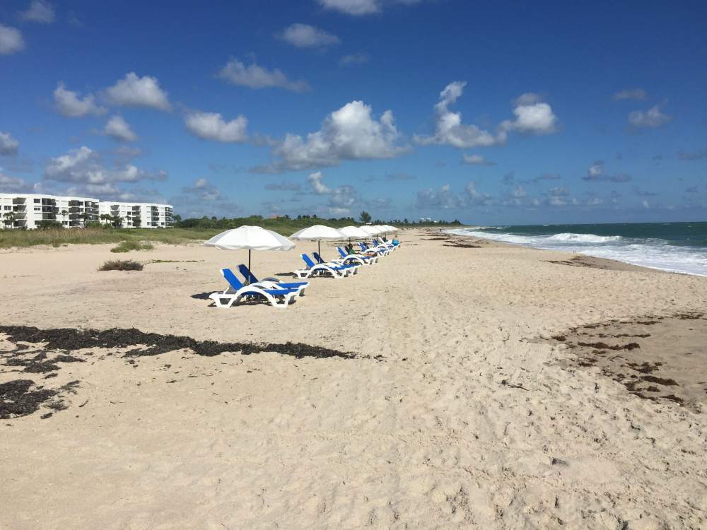 Umbrellas on the beach